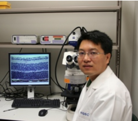 Rui Chen, PhD
