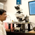 Chairs & Professorships